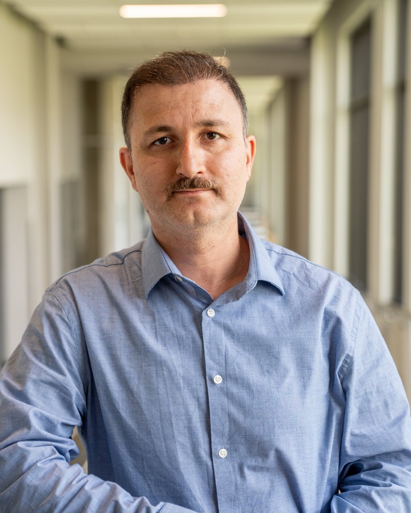 Portrait of Professor Reza Najafi