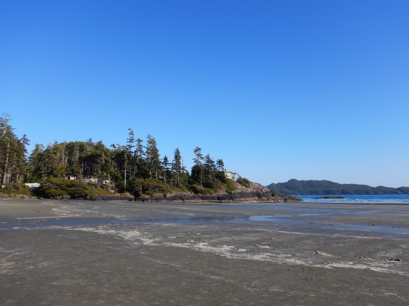 Tofino shoreline at low tide